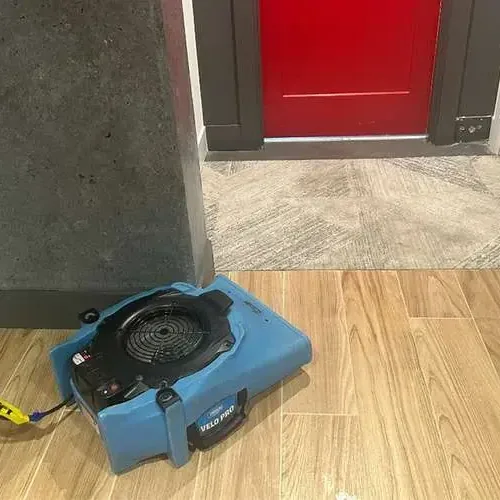 Air movers and drying equipment working in a water-damaged Clearwater room